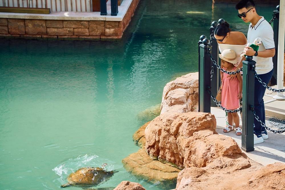 Dubai: Jumeirah Al Naseem's turtle-inspired staycation 