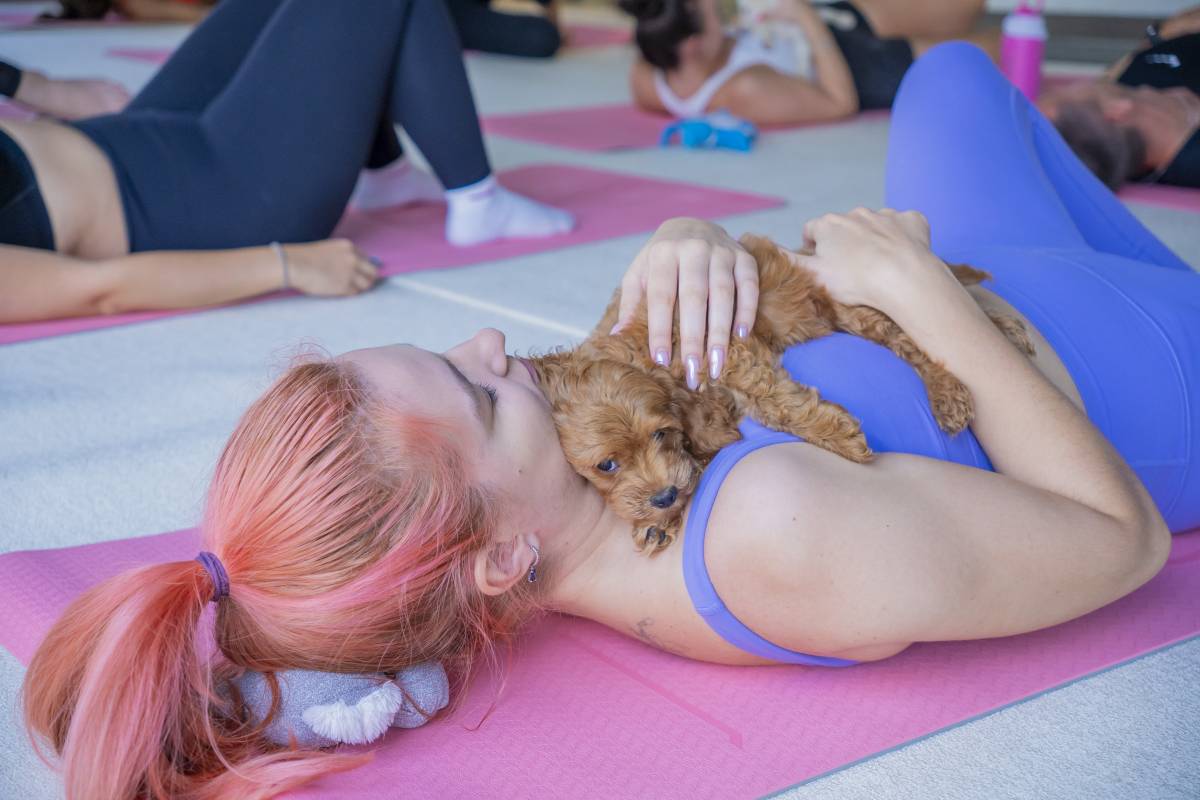 Unique event: Saadiyat Island celebrates puppy yoga