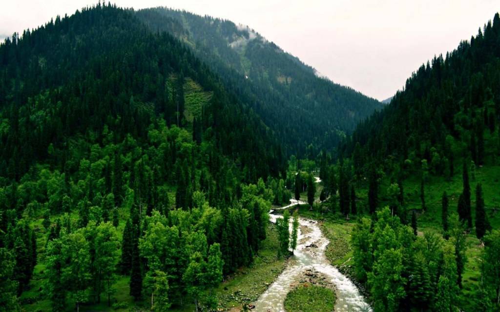 Pakistan: Why the breathtaking landscape of Galiyat Valley draws millions of tourists?