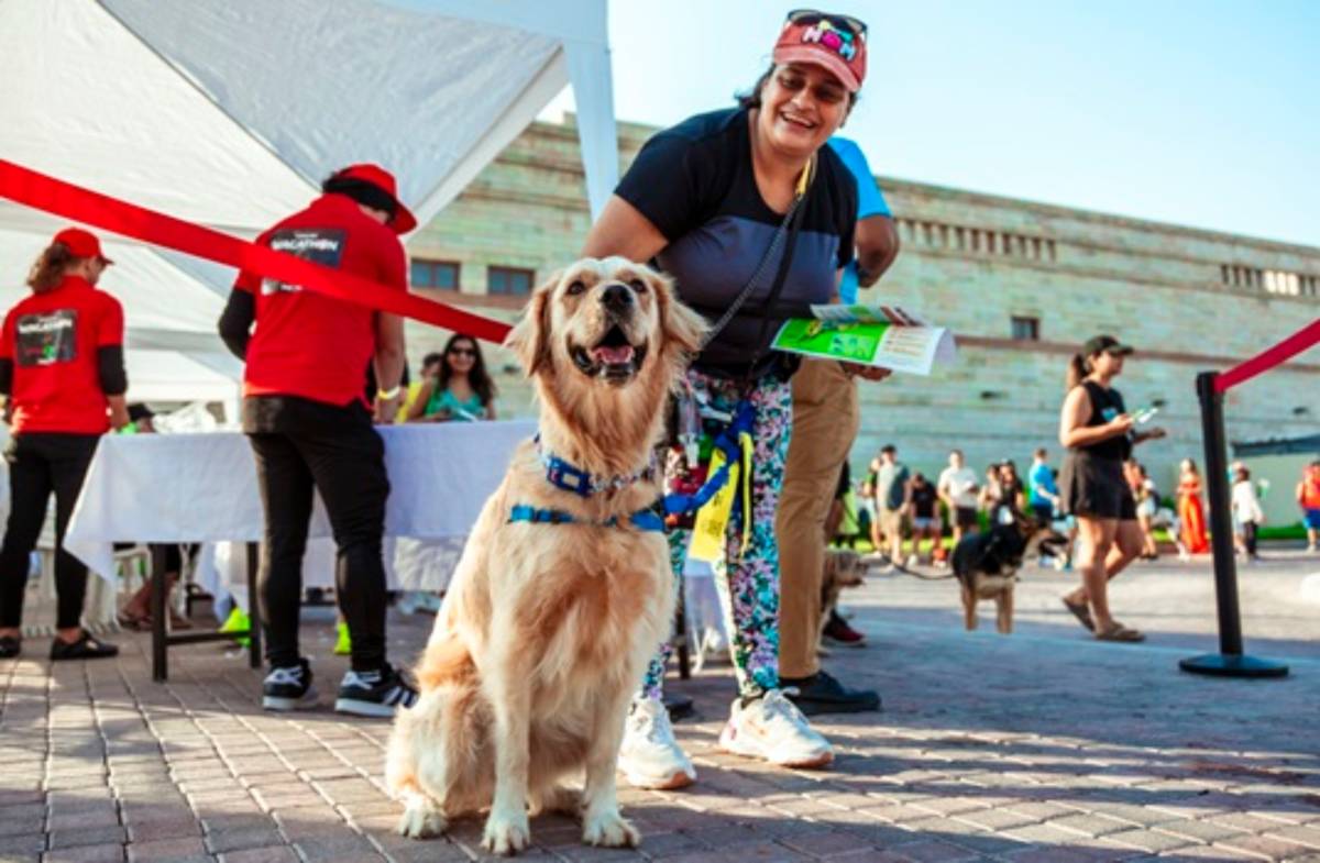 Dubai pet festival